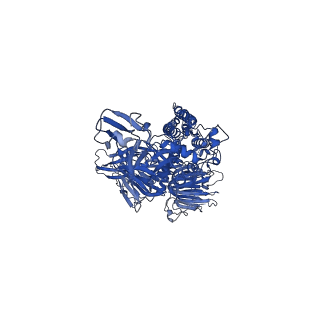7094_6bfu_B_v1-5
Glycan shield and fusion activation of a deltacoronavirus spike glycoprotein fine-tuned for enteric infections