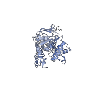 12170_7bg4_A_v1-1
Multidrug resistance transporter BmrA mutant E504A bound with ATP, Mg, and Rhodamine 6G solved by Cryo-EM
