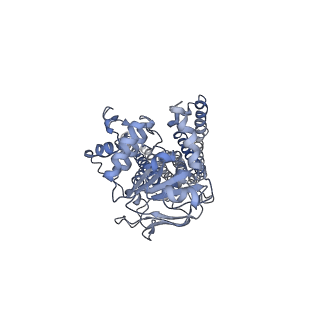 12170_7bg4_B_v1-1
Multidrug resistance transporter BmrA mutant E504A bound with ATP, Mg, and Rhodamine 6G solved by Cryo-EM