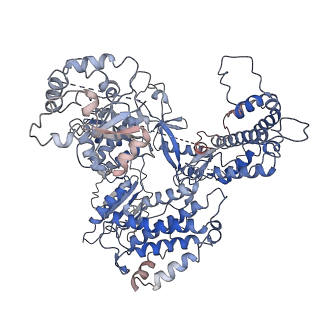 12174_7bg9_A_v1-2
The catalytic core lobe of human telomerase in complex with a telomeric DNA substrate