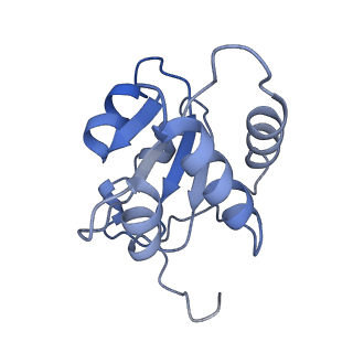 12177_7bgb_E_v1-2
The H/ACA RNP lobe of human telomerase