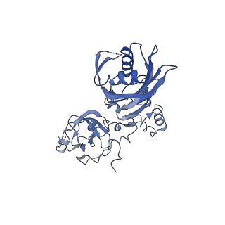 12177_7bgb_G_v1-2
The H/ACA RNP lobe of human telomerase