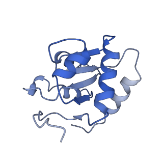 12177_7bgb_I_v1-2
The H/ACA RNP lobe of human telomerase