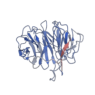12177_7bgb_K_v1-2
The H/ACA RNP lobe of human telomerase