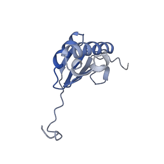 12178_7bgd_k_v1-0
Staphylococcus aureus 30S ribosomal subunit in presence of spermidine (body only)