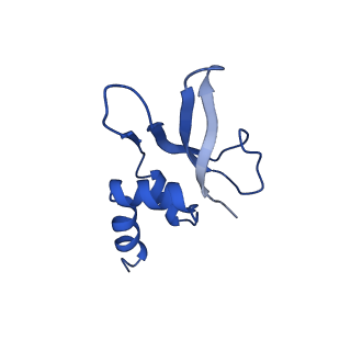 12178_7bgd_p_v1-0
Staphylococcus aureus 30S ribosomal subunit in presence of spermidine (body only)