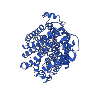 12184_7bgy_A_v1-1
Cryo-EM Structure of KdpFABC in E2Pi state with MgF4