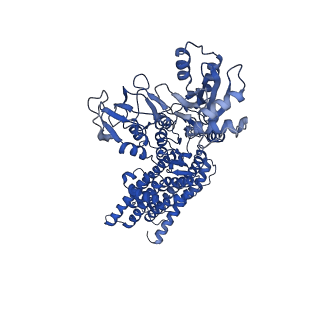 12184_7bgy_B_v1-1
Cryo-EM Structure of KdpFABC in E2Pi state with MgF4