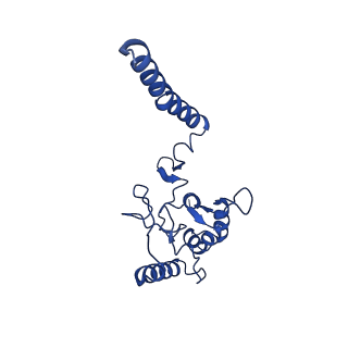 12184_7bgy_C_v1-1
Cryo-EM Structure of KdpFABC in E2Pi state with MgF4