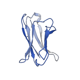 16024_8bg6_A_v1-0
SARS-CoV-2 S protein in complex with pT1644 Fab