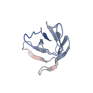 16024_8bg6_B_v1-0
SARS-CoV-2 S protein in complex with pT1644 Fab