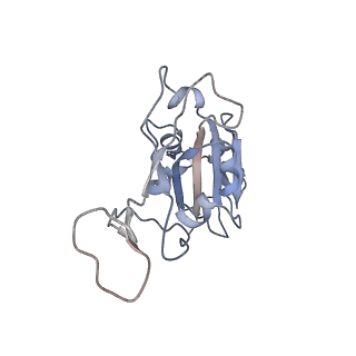 16026_8bg8_A_v1-0
SARS-CoV-2 S protein in complex with pT1696 Fab