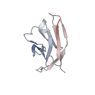 16026_8bg8_H_v1-0
SARS-CoV-2 S protein in complex with pT1696 Fab