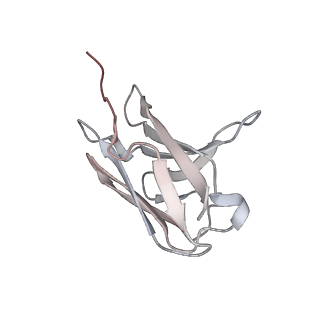 16026_8bg8_L_v1-0
SARS-CoV-2 S protein in complex with pT1696 Fab