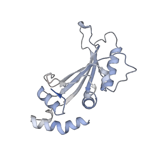 16031_8bgh_D_v1-0
Elongating E. coli 70S ribosome containing acylated tRNA(iMet) in the P-site and AAA mRNA codon in the A-site after uncompleted di-peptide formation