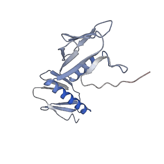 16031_8bgh_E_v1-0
Elongating E. coli 70S ribosome containing acylated tRNA(iMet) in the P-site and AAA mRNA codon in the A-site after uncompleted di-peptide formation