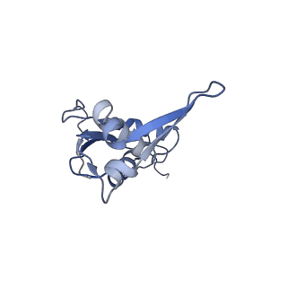 16031_8bgh_G_v1-0
Elongating E. coli 70S ribosome containing acylated tRNA(iMet) in the P-site and AAA mRNA codon in the A-site after uncompleted di-peptide formation