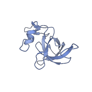 16031_8bgh_H_v1-0
Elongating E. coli 70S ribosome containing acylated tRNA(iMet) in the P-site and AAA mRNA codon in the A-site after uncompleted di-peptide formation