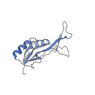 16031_8bgh_J_v1-0
Elongating E. coli 70S ribosome containing acylated tRNA(iMet) in the P-site and AAA mRNA codon in the A-site after uncompleted di-peptide formation