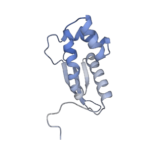 16031_8bgh_K_v1-0
Elongating E. coli 70S ribosome containing acylated tRNA(iMet) in the P-site and AAA mRNA codon in the A-site after uncompleted di-peptide formation