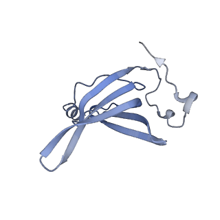 16031_8bgh_M_v1-0
Elongating E. coli 70S ribosome containing acylated tRNA(iMet) in the P-site and AAA mRNA codon in the A-site after uncompleted di-peptide formation