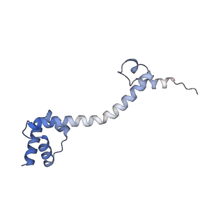 16031_8bgh_N_v1-0
Elongating E. coli 70S ribosome containing acylated tRNA(iMet) in the P-site and AAA mRNA codon in the A-site after uncompleted di-peptide formation