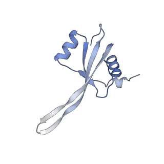 16031_8bgh_Q_v1-0
Elongating E. coli 70S ribosome containing acylated tRNA(iMet) in the P-site and AAA mRNA codon in the A-site after uncompleted di-peptide formation
