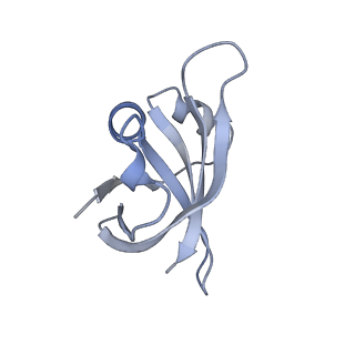 16031_8bgh_S_v1-0
Elongating E. coli 70S ribosome containing acylated tRNA(iMet) in the P-site and AAA mRNA codon in the A-site after uncompleted di-peptide formation