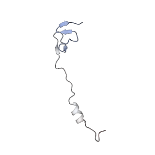 16031_8bgh_a_v1-0
Elongating E. coli 70S ribosome containing acylated tRNA(iMet) in the P-site and AAA mRNA codon in the A-site after uncompleted di-peptide formation