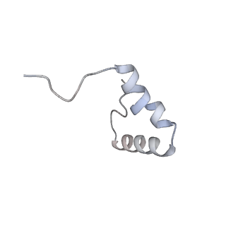 16031_8bgh_c_v1-0
Elongating E. coli 70S ribosome containing acylated tRNA(iMet) in the P-site and AAA mRNA codon in the A-site after uncompleted di-peptide formation