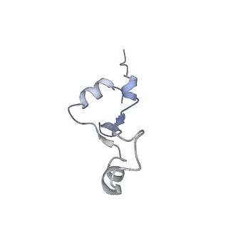 16031_8bgh_d_v1-0
Elongating E. coli 70S ribosome containing acylated tRNA(iMet) in the P-site and AAA mRNA codon in the A-site after uncompleted di-peptide formation