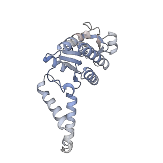 16031_8bgh_f_v1-0
Elongating E. coli 70S ribosome containing acylated tRNA(iMet) in the P-site and AAA mRNA codon in the A-site after uncompleted di-peptide formation