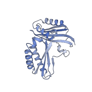 16031_8bgh_g_v1-0
Elongating E. coli 70S ribosome containing acylated tRNA(iMet) in the P-site and AAA mRNA codon in the A-site after uncompleted di-peptide formation
