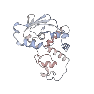 16031_8bgh_h_v1-0
Elongating E. coli 70S ribosome containing acylated tRNA(iMet) in the P-site and AAA mRNA codon in the A-site after uncompleted di-peptide formation