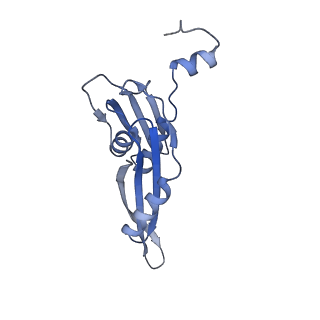 16031_8bgh_i_v1-0
Elongating E. coli 70S ribosome containing acylated tRNA(iMet) in the P-site and AAA mRNA codon in the A-site after uncompleted di-peptide formation