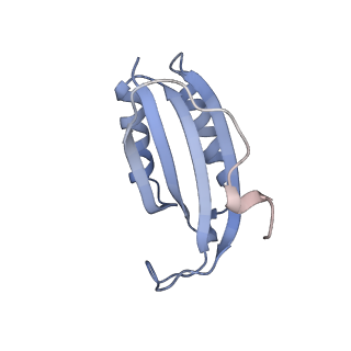 16031_8bgh_j_v1-0
Elongating E. coli 70S ribosome containing acylated tRNA(iMet) in the P-site and AAA mRNA codon in the A-site after uncompleted di-peptide formation