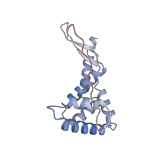16031_8bgh_k_v1-0
Elongating E. coli 70S ribosome containing acylated tRNA(iMet) in the P-site and AAA mRNA codon in the A-site after uncompleted di-peptide formation