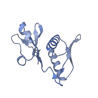 16031_8bgh_l_v1-0
Elongating E. coli 70S ribosome containing acylated tRNA(iMet) in the P-site and AAA mRNA codon in the A-site after uncompleted di-peptide formation