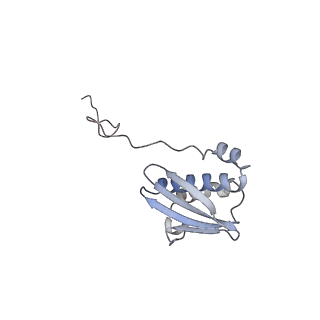16031_8bgh_m_v1-0
Elongating E. coli 70S ribosome containing acylated tRNA(iMet) in the P-site and AAA mRNA codon in the A-site after uncompleted di-peptide formation