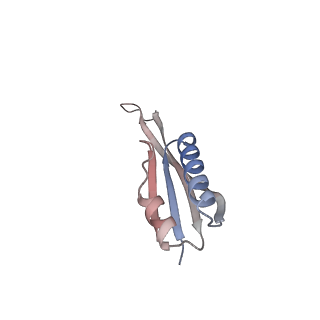 16031_8bgh_n_v1-0
Elongating E. coli 70S ribosome containing acylated tRNA(iMet) in the P-site and AAA mRNA codon in the A-site after uncompleted di-peptide formation