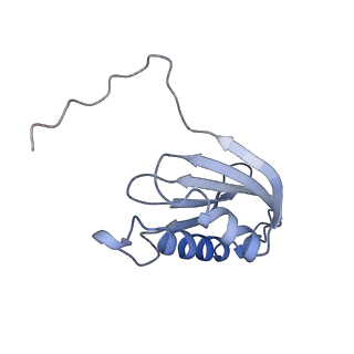 16031_8bgh_o_v1-0
Elongating E. coli 70S ribosome containing acylated tRNA(iMet) in the P-site and AAA mRNA codon in the A-site after uncompleted di-peptide formation