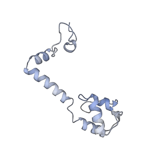16031_8bgh_q_v1-0
Elongating E. coli 70S ribosome containing acylated tRNA(iMet) in the P-site and AAA mRNA codon in the A-site after uncompleted di-peptide formation