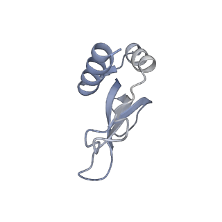 16031_8bgh_t_v1-0
Elongating E. coli 70S ribosome containing acylated tRNA(iMet) in the P-site and AAA mRNA codon in the A-site after uncompleted di-peptide formation