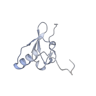 16031_8bgh_w_v1-0
Elongating E. coli 70S ribosome containing acylated tRNA(iMet) in the P-site and AAA mRNA codon in the A-site after uncompleted di-peptide formation