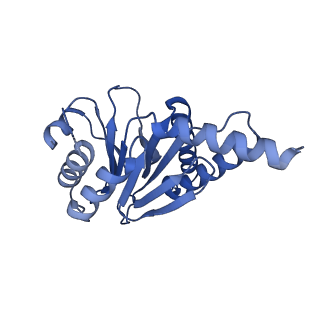 7097_6bgl_A_v1-3
Doubly PafE-capped 20S core particle in Mycobacterium tuberculosis