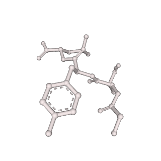 7097_6bgl_B_v1-3
Doubly PafE-capped 20S core particle in Mycobacterium tuberculosis