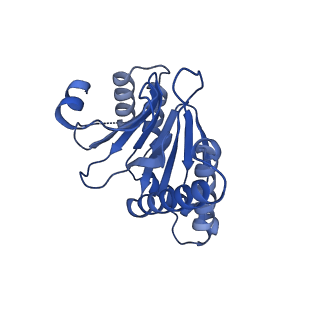 7097_6bgl_C_v1-3
Doubly PafE-capped 20S core particle in Mycobacterium tuberculosis