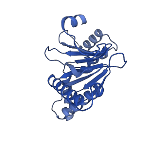 7097_6bgl_D_v1-3
Doubly PafE-capped 20S core particle in Mycobacterium tuberculosis