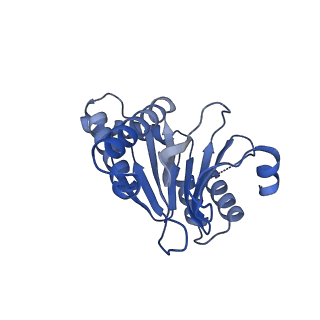 7097_6bgl_F_v1-3
Doubly PafE-capped 20S core particle in Mycobacterium tuberculosis