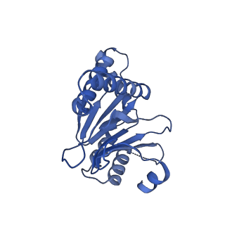 7097_6bgl_G_v1-3
Doubly PafE-capped 20S core particle in Mycobacterium tuberculosis